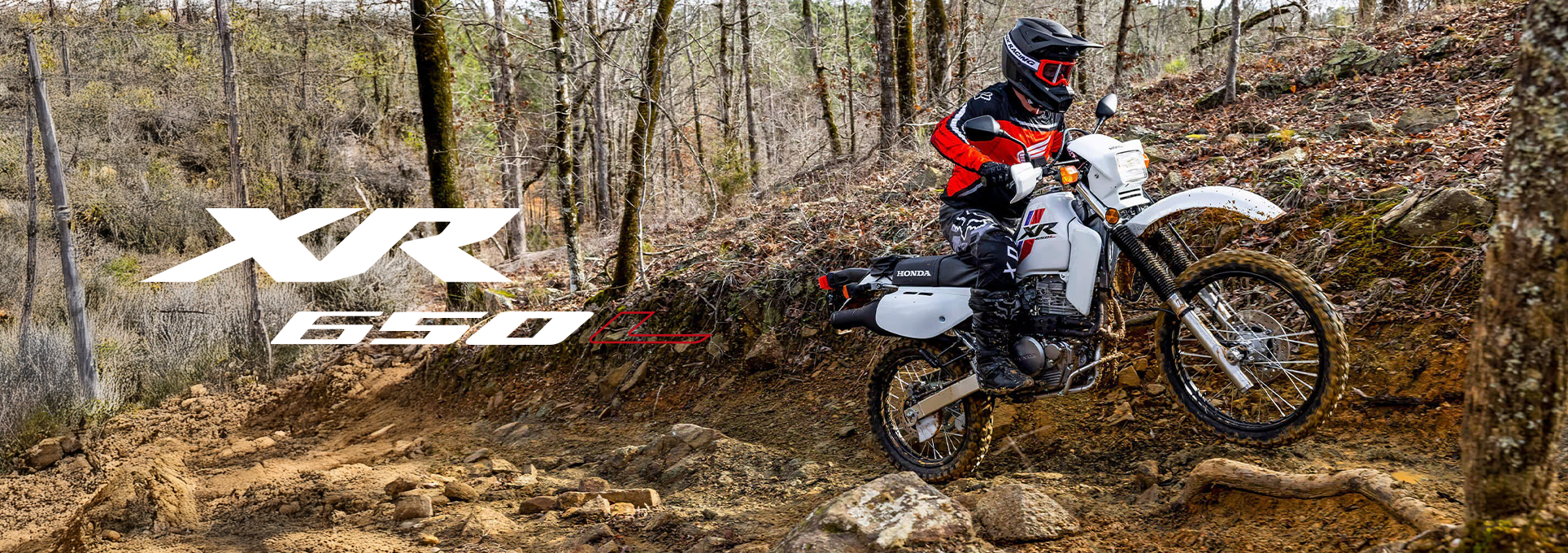 XR650L 2024